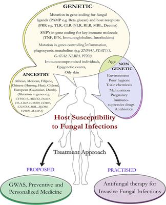 Genetic Susceptibility to Fungal Infections and Links to Human Ancestry